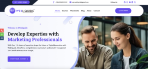 webliquids-seo-case-study